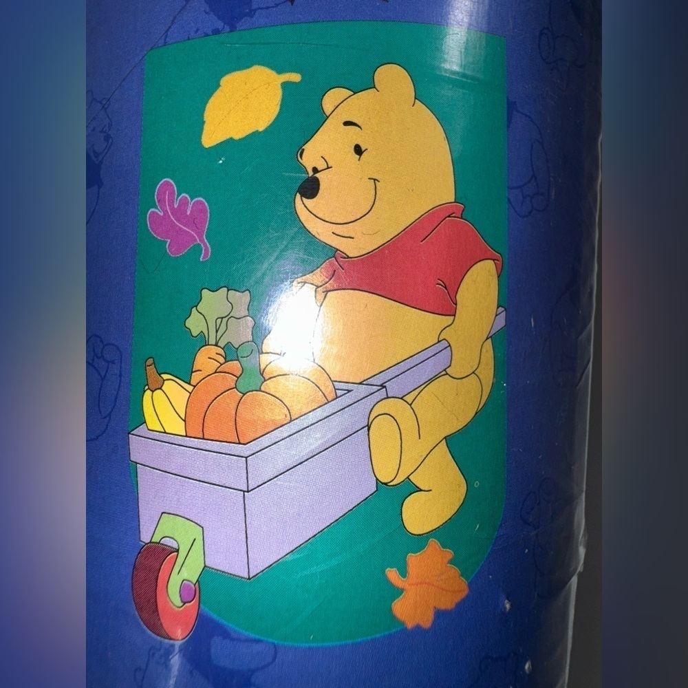 Disney 100 Acre Pooh Fall -pumpkin, leaves. flag 28”x45” vintage 1998